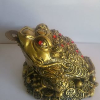 צפרדע השפע גדולה