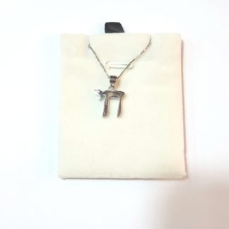 שרשרת עם תליון "חי"