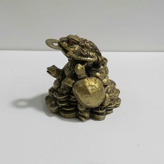 צפרדע השפע (העתק)