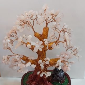 עץ רוז קו;ורץ