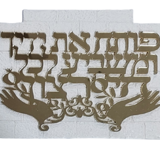 פותח את ידיך על אבני "הכותל"