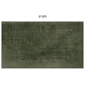 תיק מגן תפילין טרמי ירוק זית עם הטבעת "ברכת הכוהנים"