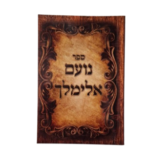 נועם אלימלך שמירה ובריאות ליולדת ולתינוק