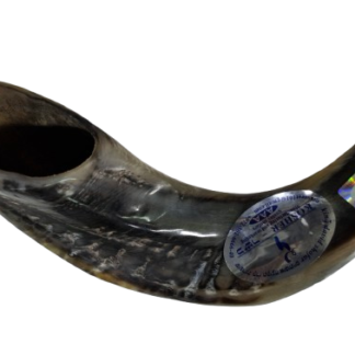 שופר מספר 4 גודל