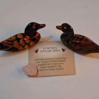 זוג ברווזי מנדרין