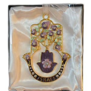 חמסה מעוצבת צבע אימייל