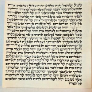 קלף מהודר למזוזה 15 ס"מ