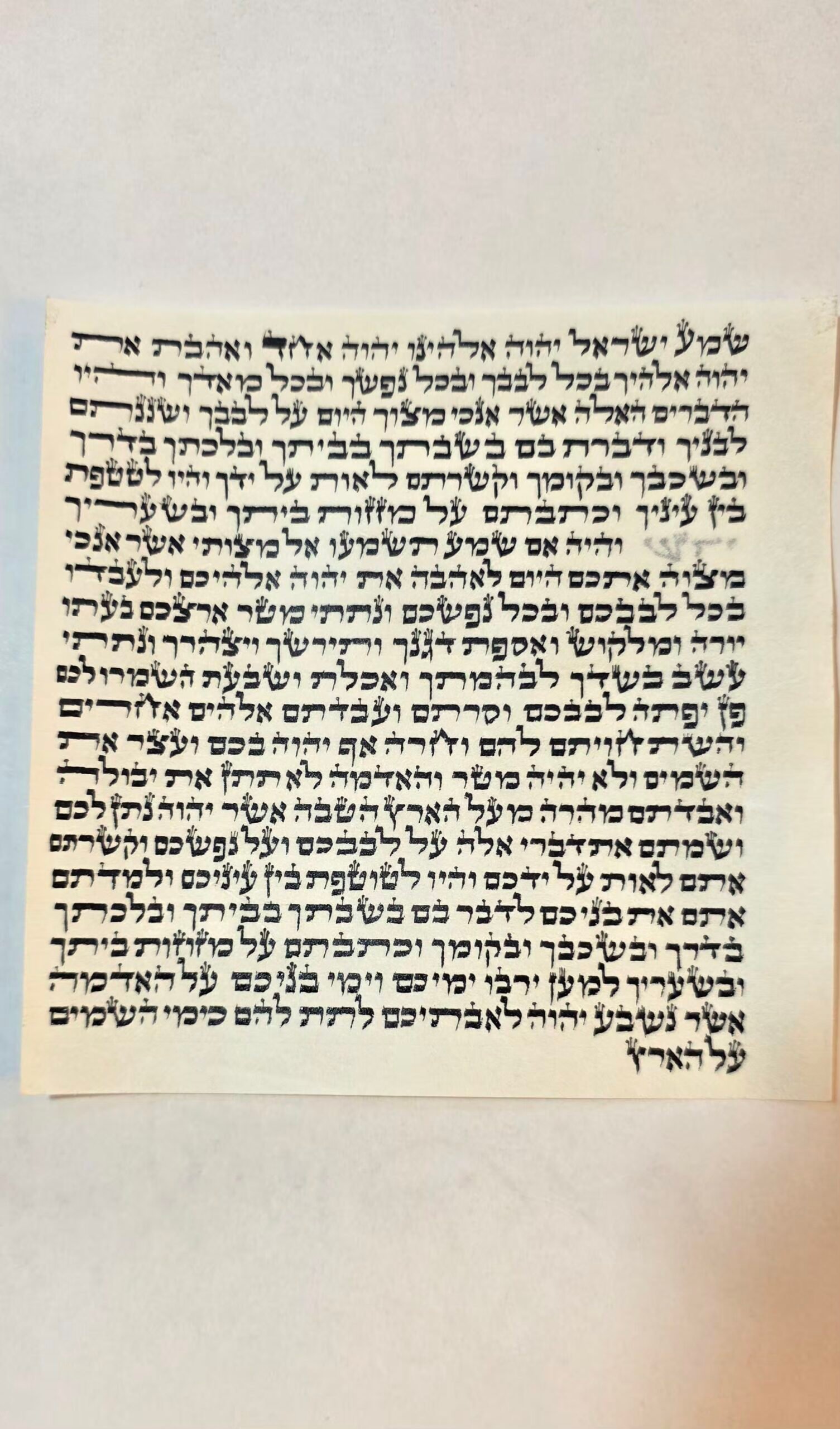 קלף מהודר למזוזה 15 ס"מ